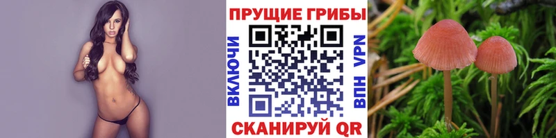 Галлюциногенные грибы ЛСД  Купить закладки  Белинский 
